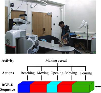 Compositional Learning of Human Activities With a Self-Organizing Neural Architecture